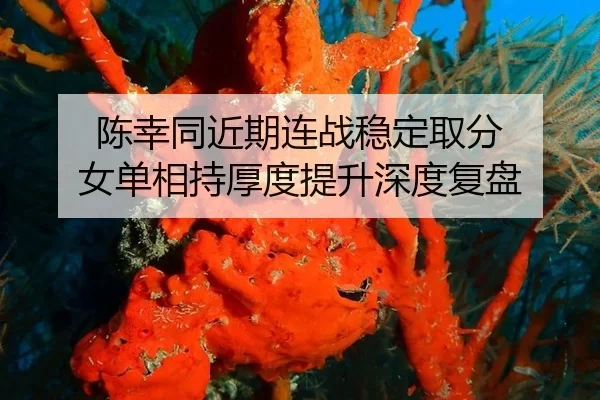 chen-xing-tong-jin-qi-lian-zhan-wen-ding-qu-fen-nv-dan-xiang-chi-hou-du-ti-sheng-shen-du-fu-pan-2-330.jpg